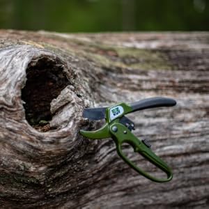 landscaping tools, plant scissors, flower scissors, gardening scissors