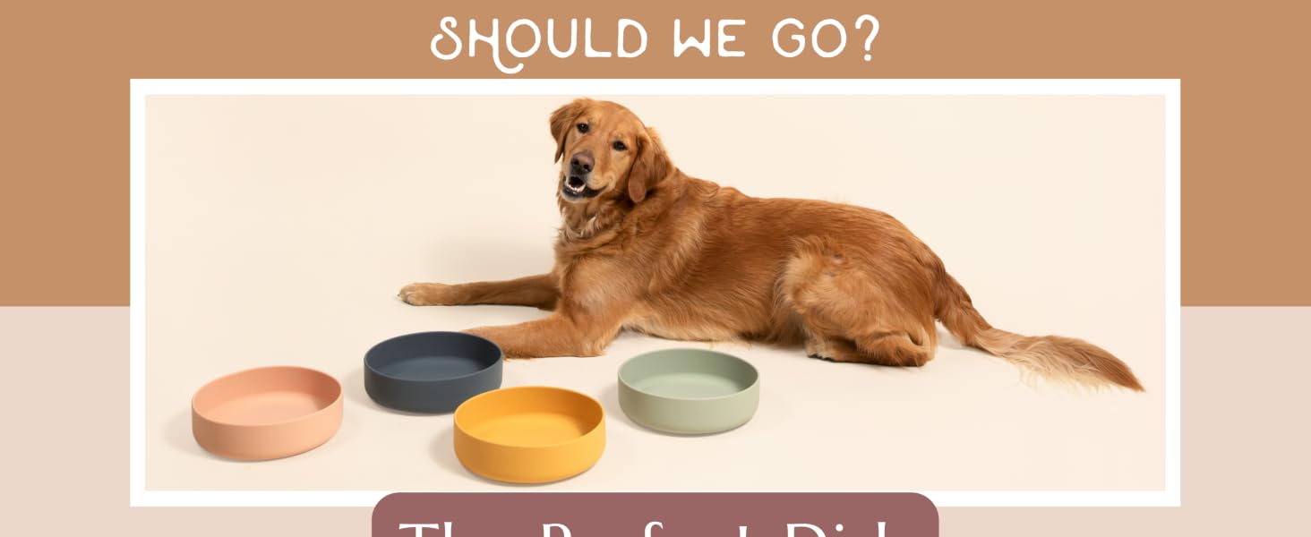 dog water bowls heavy food large medium sized stainless steel outdoor breed dish small simple copper