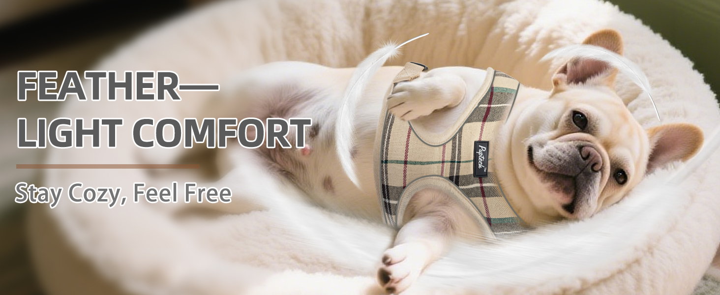 dog harness