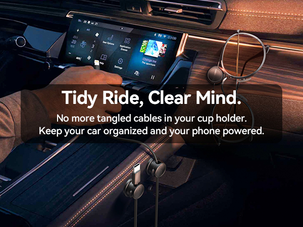 Car cable clips