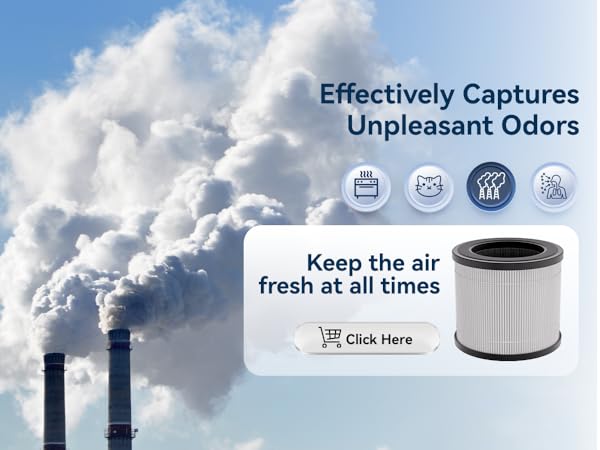 Air Purifiers for Home