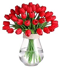 https://m.media-amazon.com/images/S/aplus-media-library-service-media/ea9b232d-f162-44d4-a08a-e088de0d510f.__CR89,0,1422,1600_PT0_SX200_V1___.jpg
