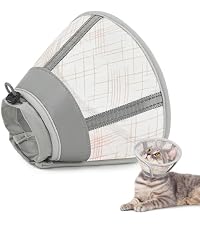 https://m.media-amazon.com/images/I/41q9g7JXfcL.__AC_SR200,225___.jpg