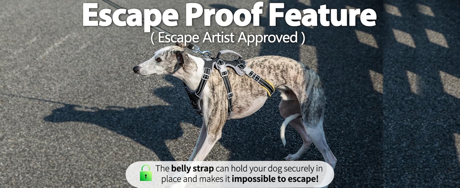 escape proof dog harness