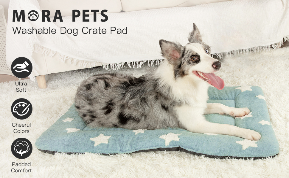 dog crate pad dog bed