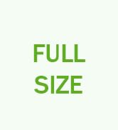 Replacement Heads for Waterpik Sonic Fusion 2.0, Extra-Large Size Flossing Toothbrush Head fit fo...