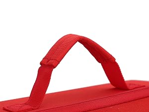 switch 2 bag