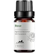 Rose Essential Oil – 10ml