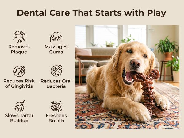 Textured Surface Design | Cleans Teeth While Chewing, Prevents Dental Diseases