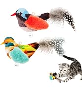 ipawspace Catnip Cat Toys Satisfy Cat's Natural Hunting Instintion for Indoors Cats Feather Toys ...