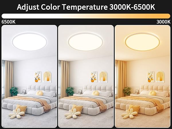RGB ceiling light with remote