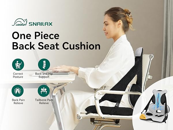 back and seat cushion
