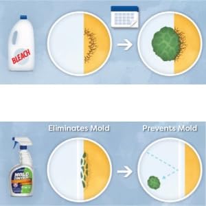 effective against mold and prevents regrowth