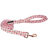 ARING PET Summer Dog Leash, Pink Watermelon Dog Leashes Matching Dog Collars, Cotton Handmade Wal...