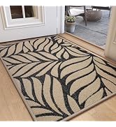 QiCaiJia Door Mat Indoor Outside Entrance 24"x35", Low-Profile Non Slip Outdoor Inside Front Door...
