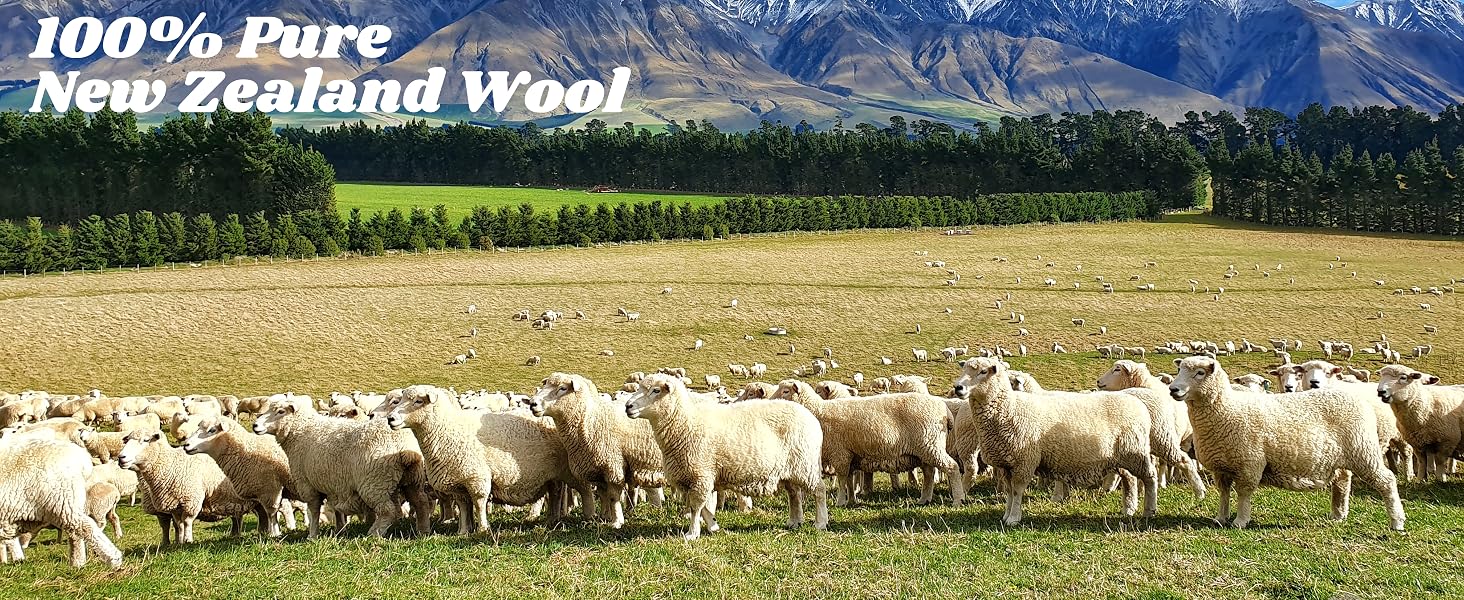 ACTTE Wool Dryer Balls PC 2