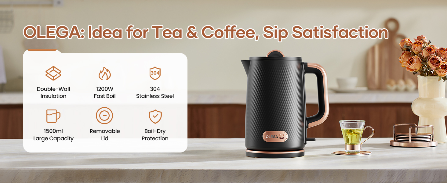OLEGA Electric Kettle