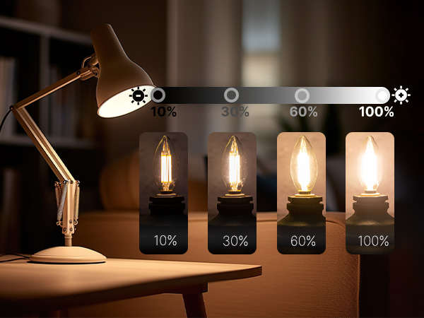 B11 E12 LED bulbs