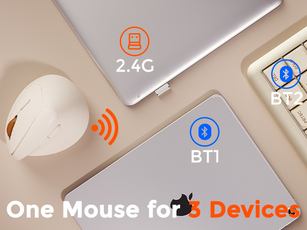 Ergonomic Vertical Wireless Mouse