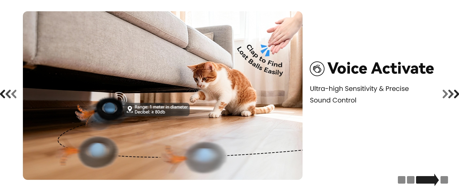 cat toys