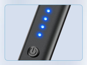 electric lighter with battery indicator