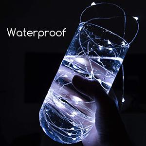 IP65 Waterproof