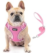 PUPTECK Dog Harness and Leash Set for Small Medium Dogs No Pull, Soft Mesh Adjustable Puppy Cat H...