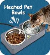 cat bowls