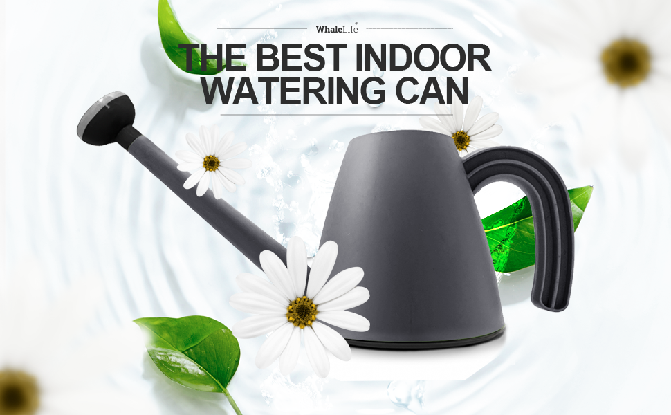 gallon watering can