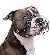 dog muzzle