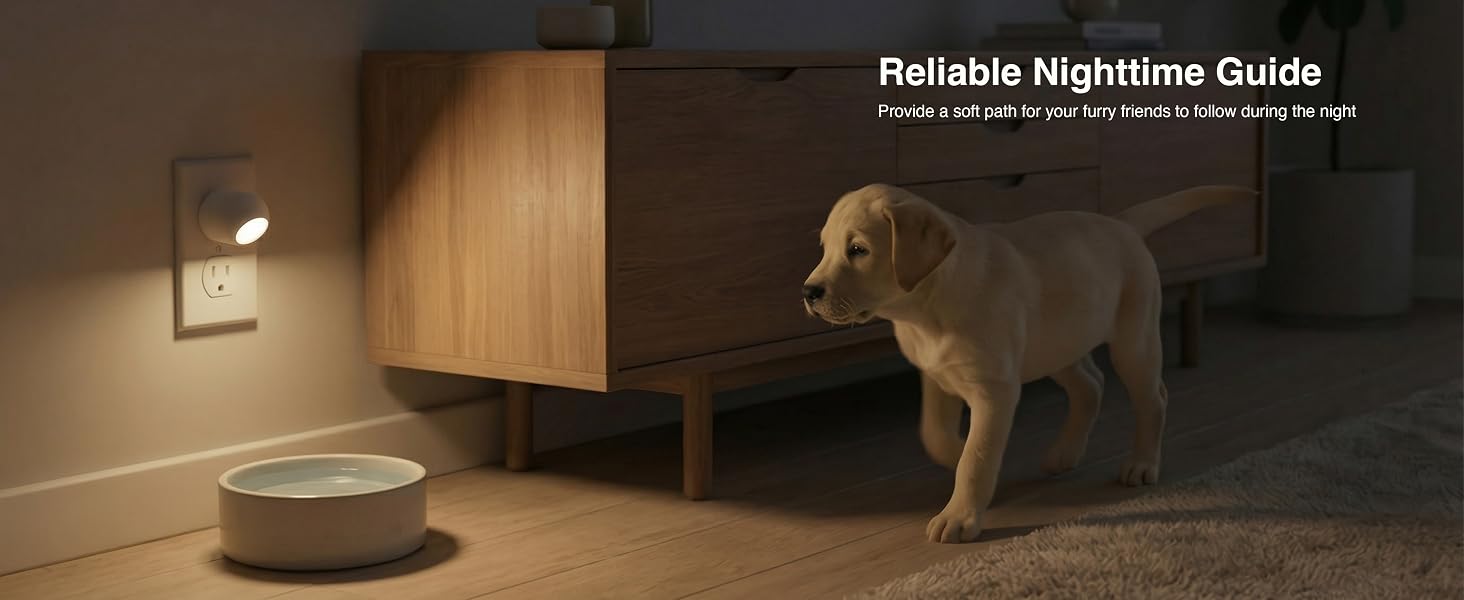 PREMIUM MINI DESKTOP PET