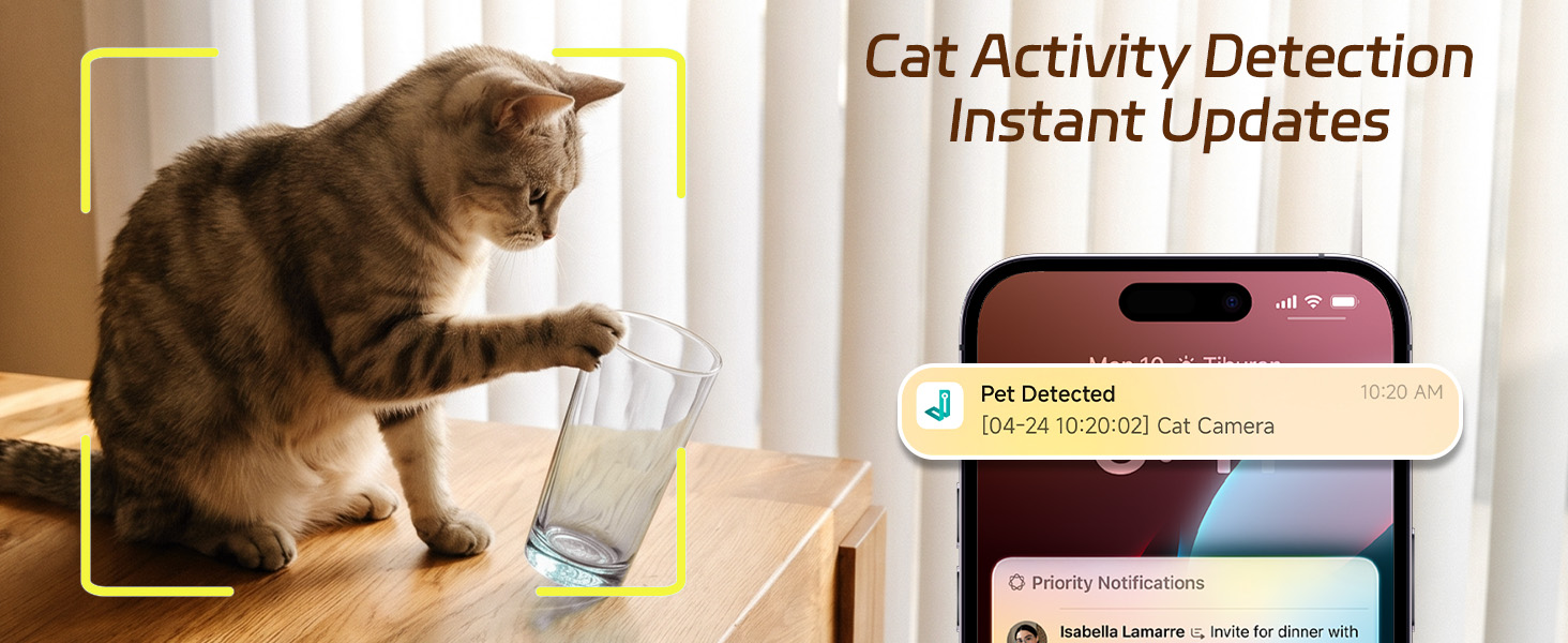 Motion Detection