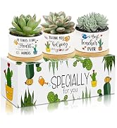 3Pcs Teacher Appreciation Gift Succulent Pots Mini Ceramic Plant Pot with Bamboo Tray Pots Plante...