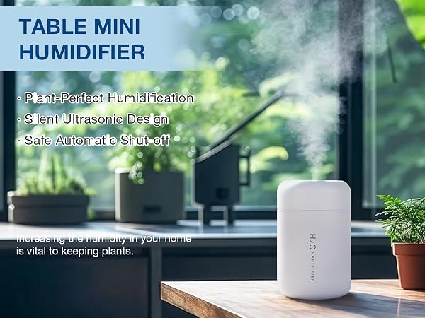 Small Humidifiers for Plants