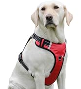 PenSeepet Dog Harness No Pull Dog Harness with 2 D-Ring,Adjustable Reflective Soft Padded Dog Ves...