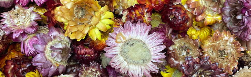 natural dried edible flowers for garnishing cake decoration baking chrysanthemum flower cocktail