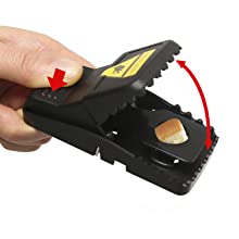 mouse trap