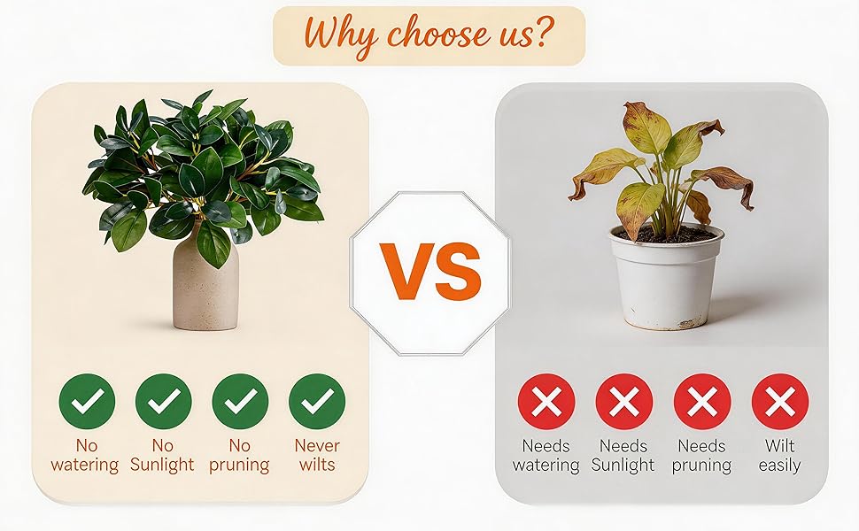 Why choose us