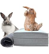 kathson 100 Piece Rabbit Pee Pads,Disposable Pet Pees Pad,Cage Black Carbon Liner,Super Absorbent...