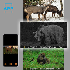 s800