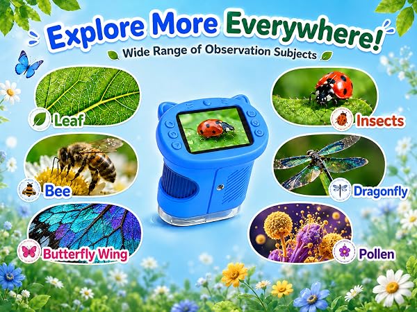 Explore More Everywhere!