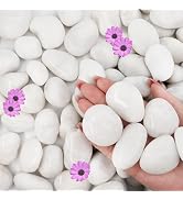 NUPICK 16lb White River Rocks for Outdoor Landscaping, 1-2 Inch Pebbles for Indoor Plants, Natura...