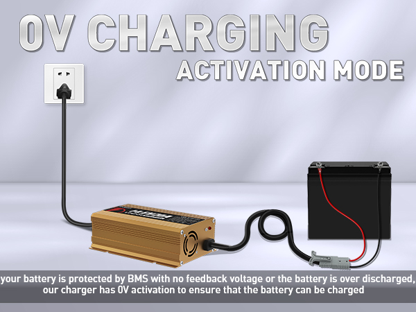 deep cycle charger