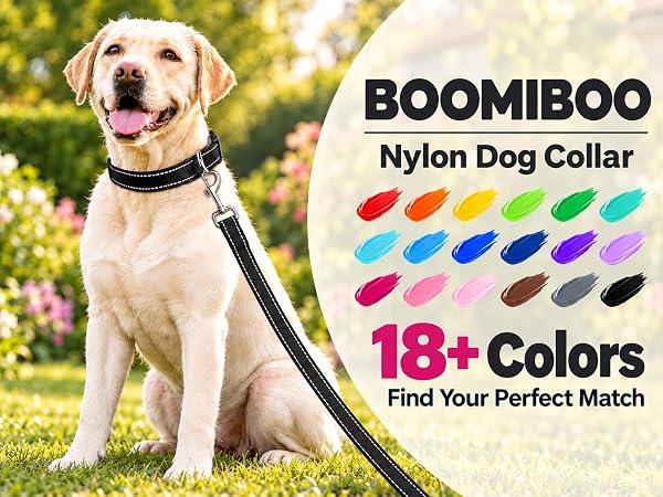 Small Dog Collar, Reflective Puppy Collar, Adjustable Neoprene Padded,Breathable Nylon for Large Dog