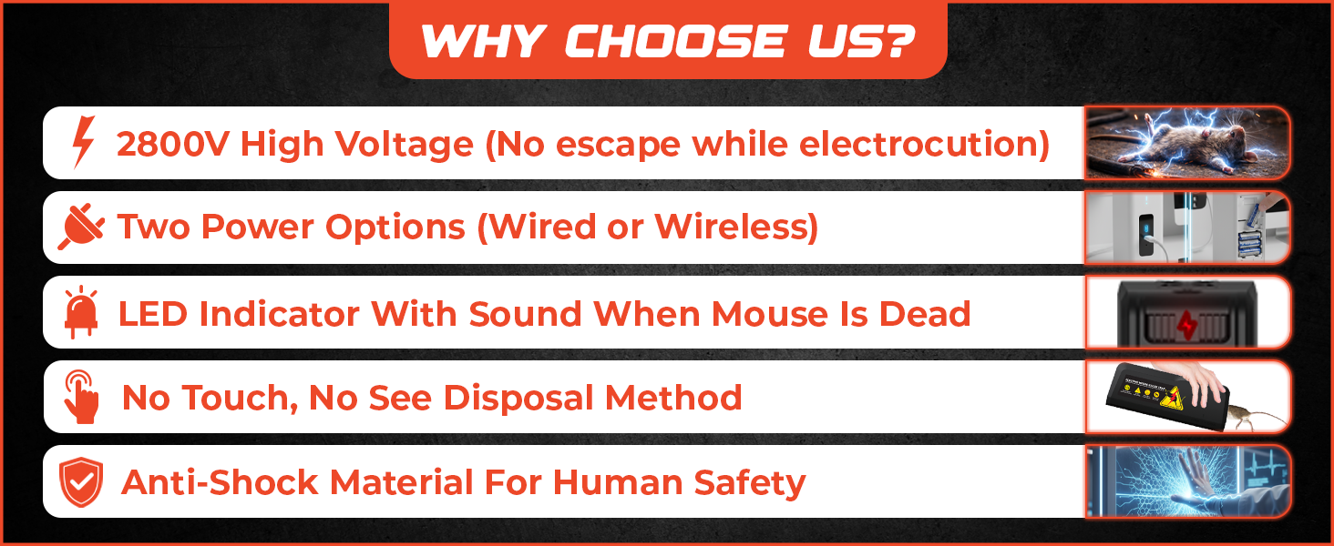 Electric Mouse Trap