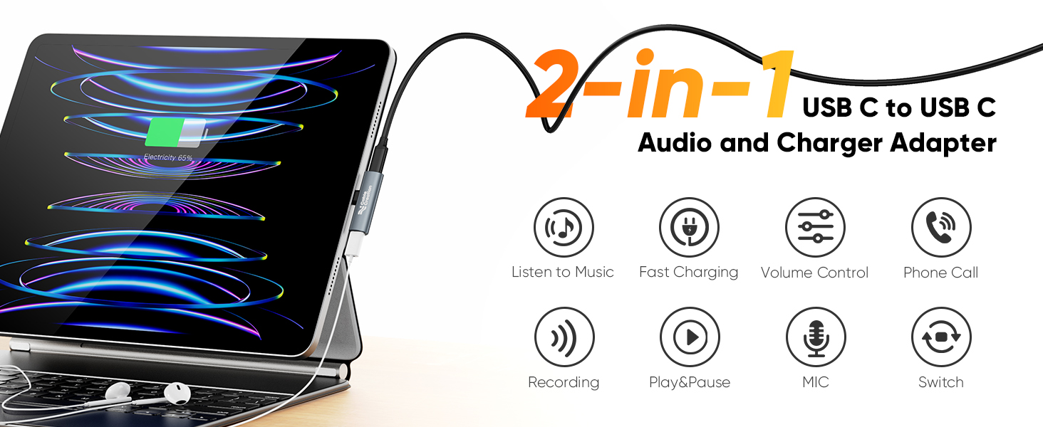 2-in-1 audio charger adapter