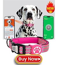 https://m.media-amazon.com/images/S/aplus-media-library-service-media/e85aa0a0-802f-4c2d-b906-f783ccae9b77.__CR0,0,400,450_PT0_SX200_V1___.jpg