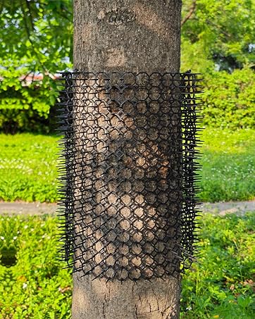 cat deterrent spikes