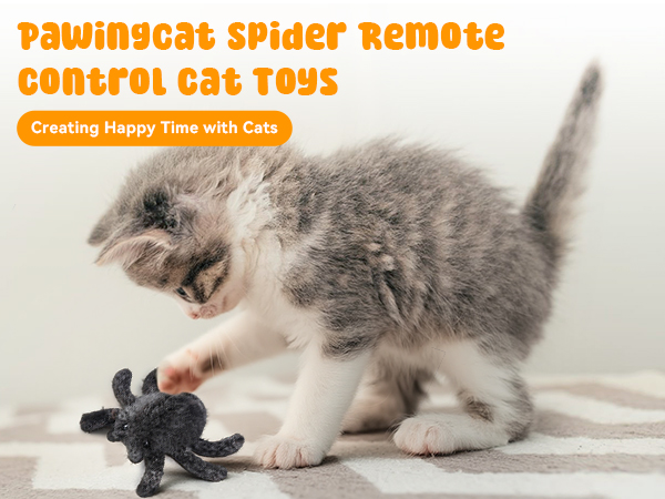 cat enrichment toys