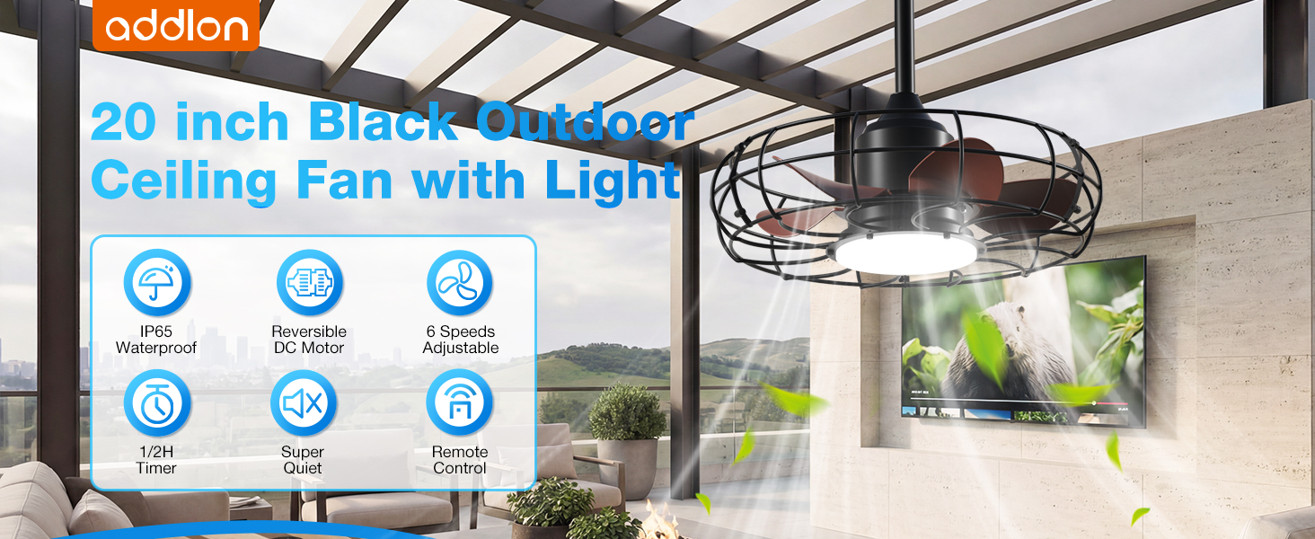 Outdoor Ceiling Fan with Light
